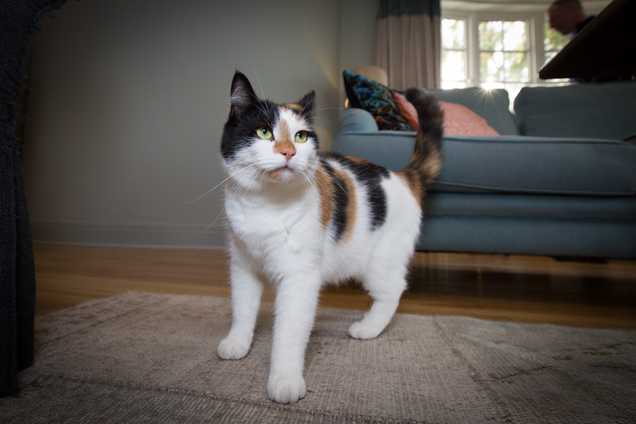 Lunch at The Bruce's (Edinburgh)