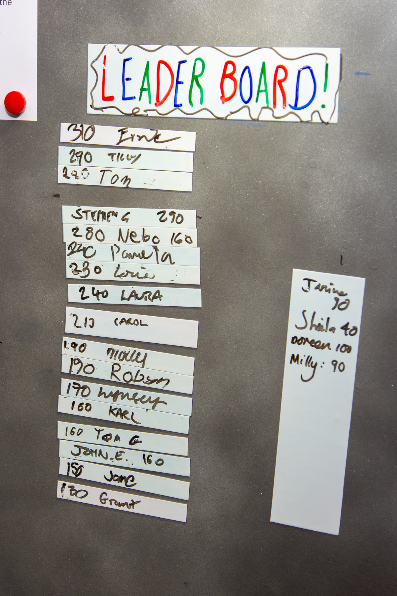 Mum's 80th Birthday Party